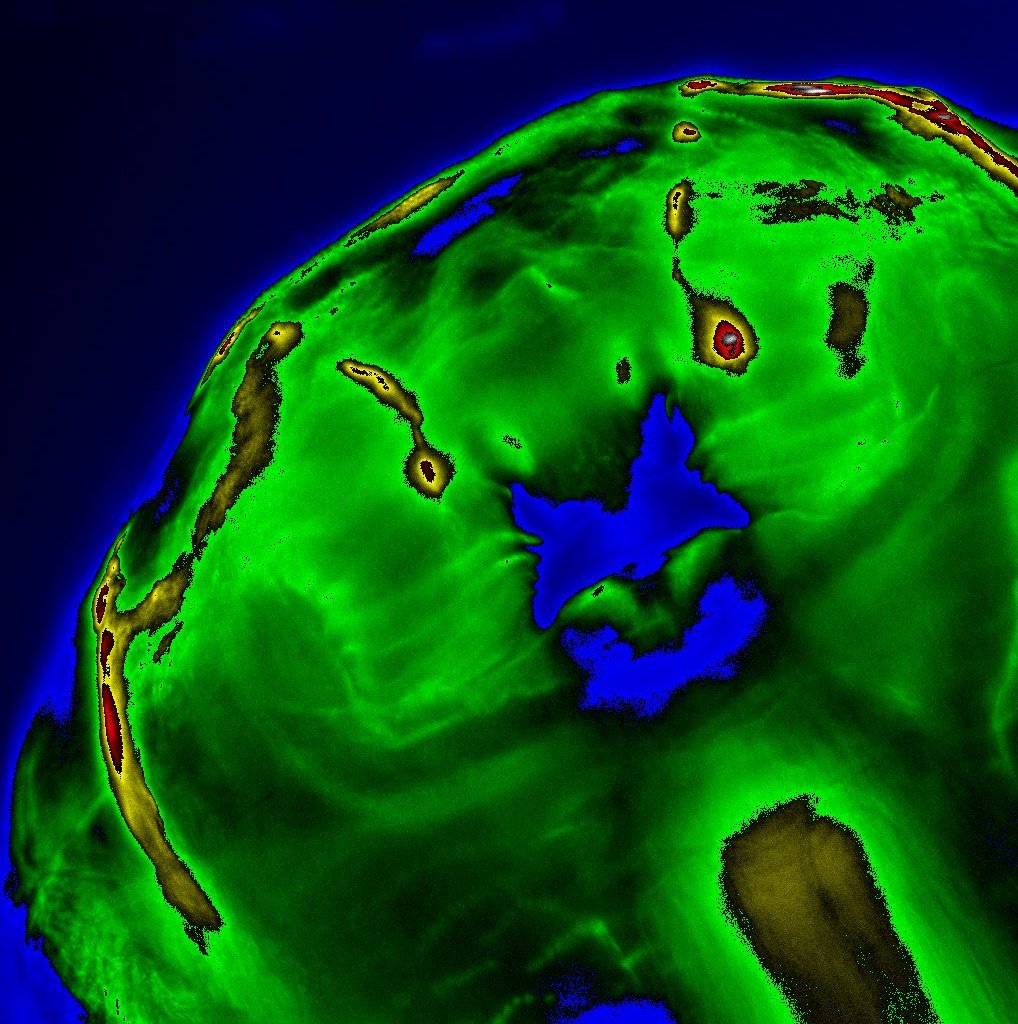 Olfactory system of a wandering larva